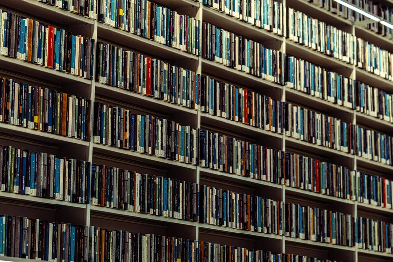 Wide view of organized bookshelves filled with categorized books