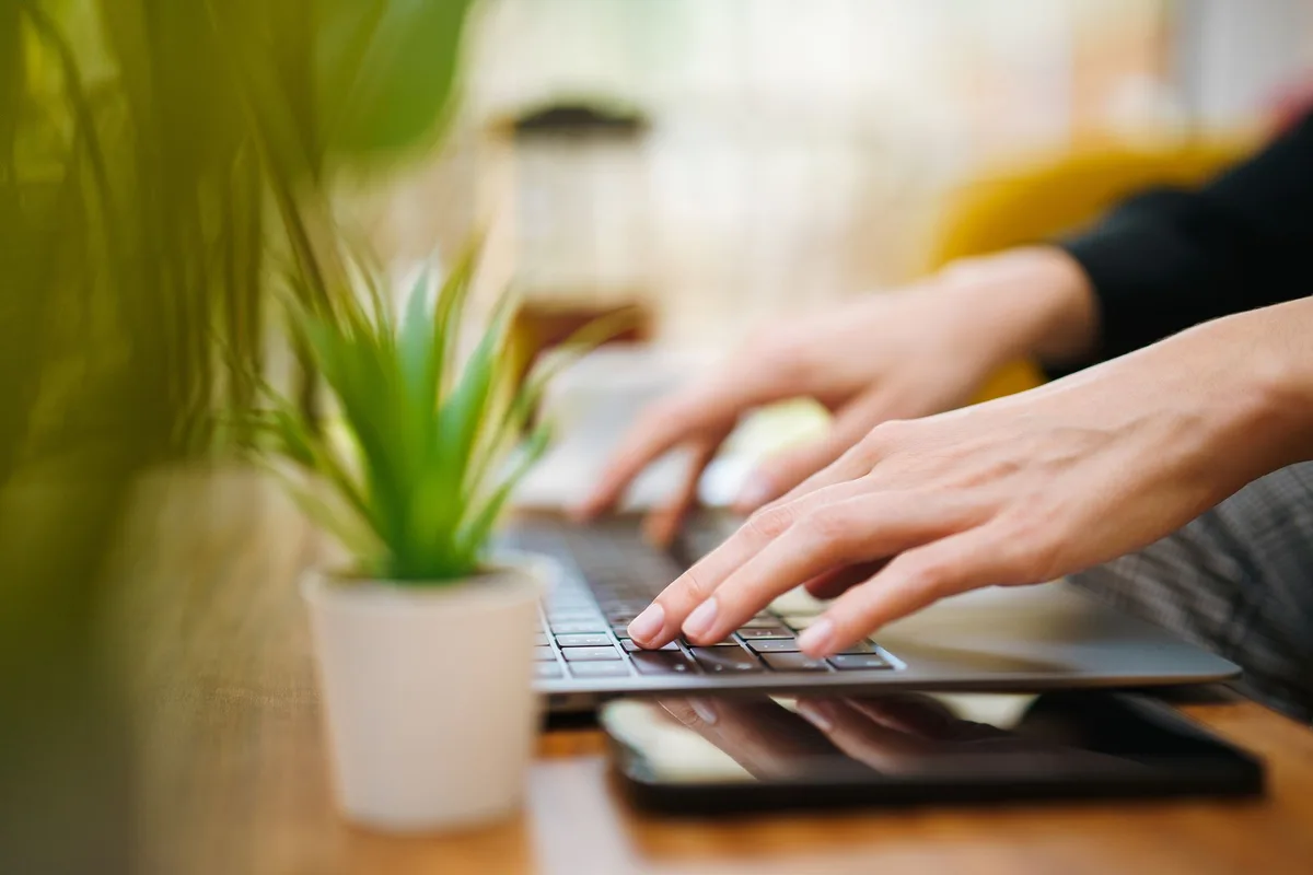 Hands typing on a laptop next to a green plant in a home workspace